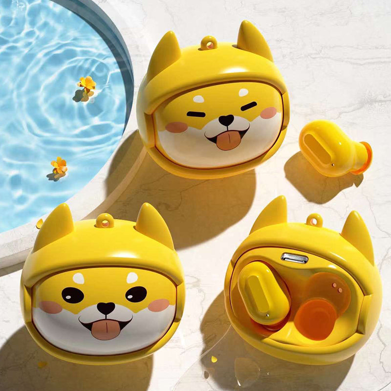 TWS Coco Wireless Bluetooth Earphones