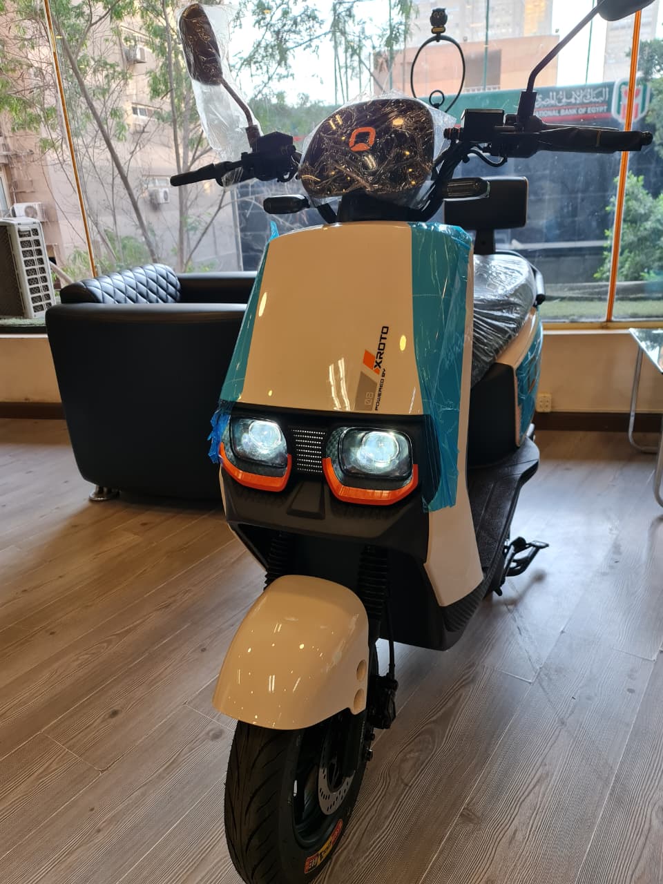 Adult Electric Scooter