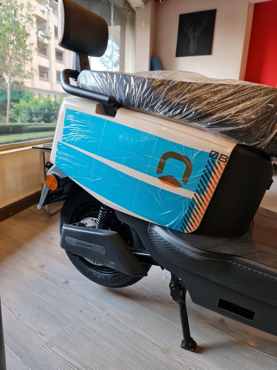 Adult Electric Scooter