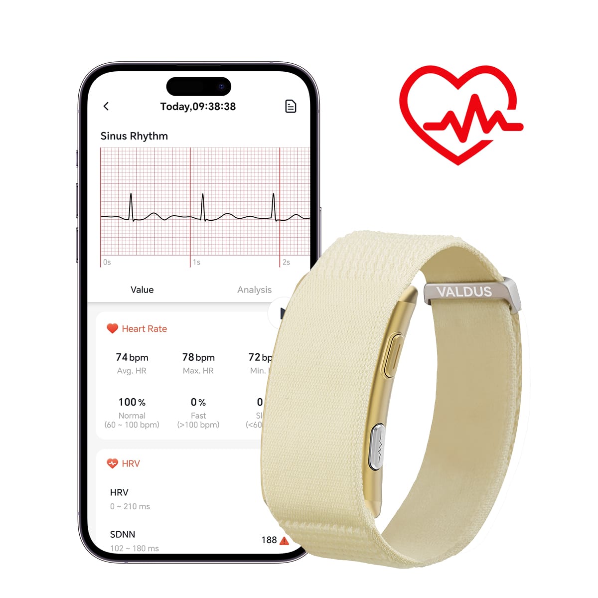 VALDUS VITRO Screenless Health Activity Smart Band