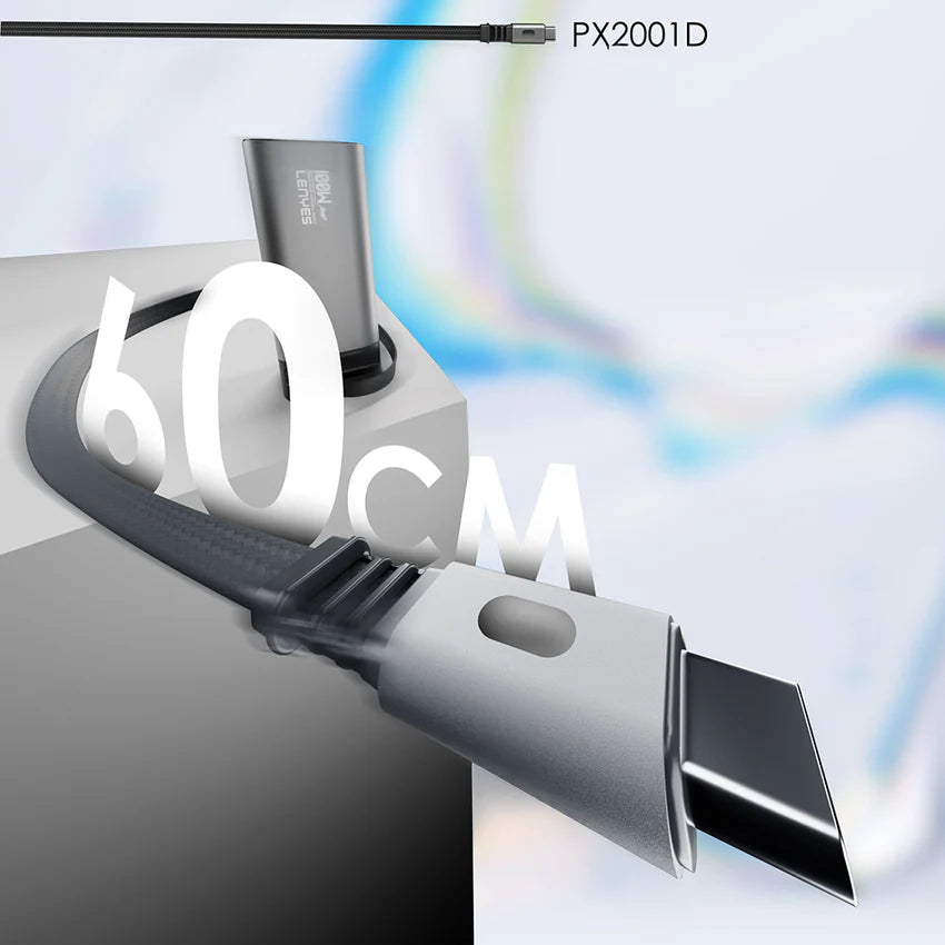 Lenyes PX2001D 100W Fast Charging Powerbank