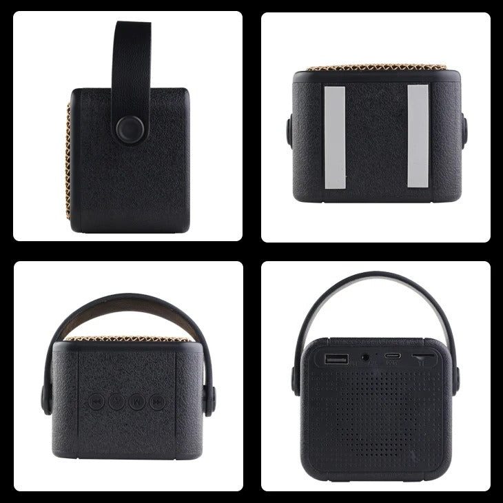 Kisonli G23 Mini Karaoke Speaker